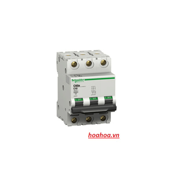 C60A 3P 25A C