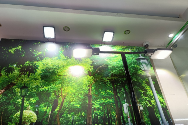 Nhà phân phối Đèn Philips chính hãng 2024