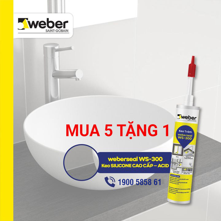 KEO-SILICONE-WEBER-MUA-5-TANG