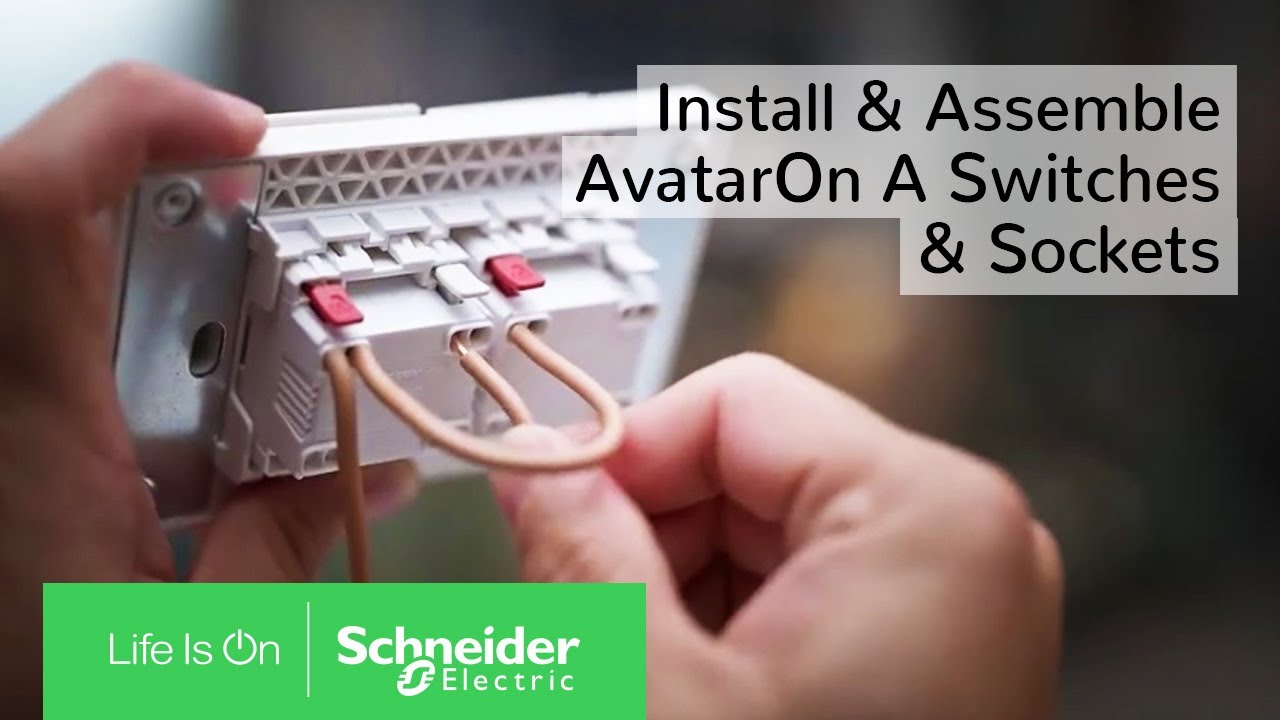 AvatarOn A Schneider