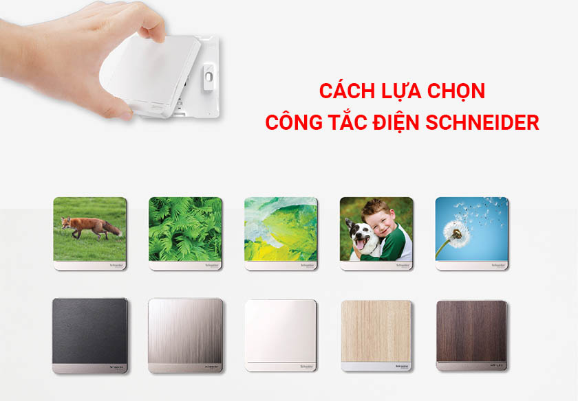 lua-chon-cong-tac-dien-schneider