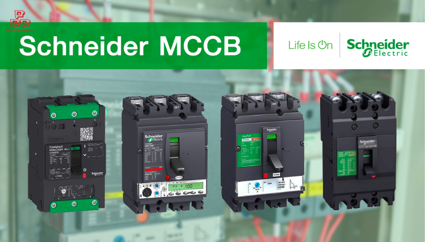 Sản phẩm chính hãng, đa dạng