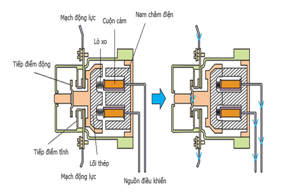 Cấu tạo chính của Contactor