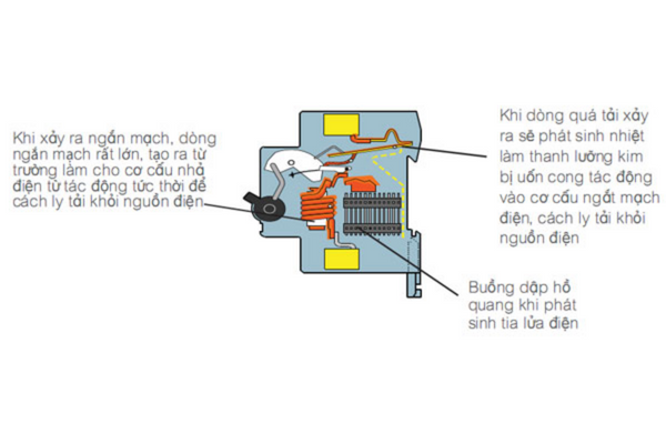 Ưu điểm nổi bật của Cầu dao bảo vệ RCBO Schneider Easy9 