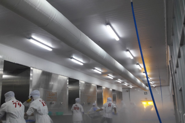 đèn chống thấm