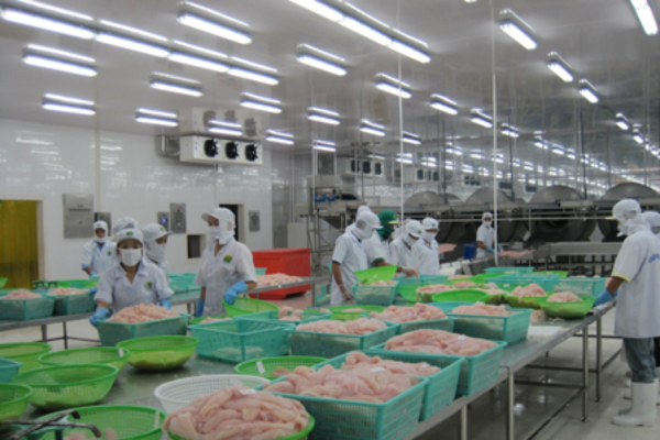 đèn chống thấm