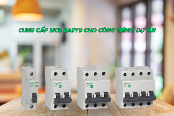 cung cấp MCCB Easy9 cho công trình, dự án