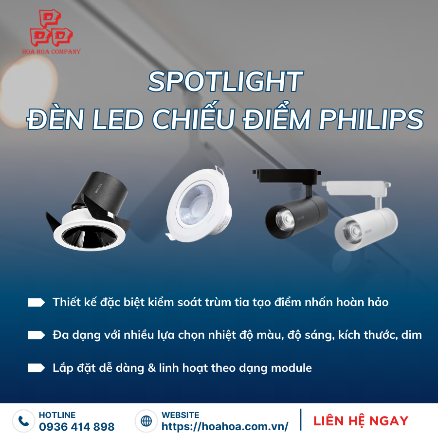 San-kho-so-luong-lon-den-Spotlight