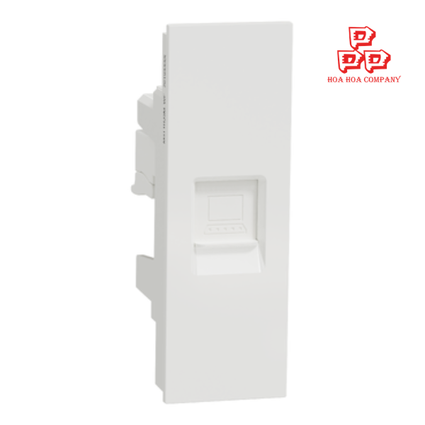 Ổ mạng cat5e size S
